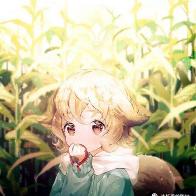 妇联回应孕妇称买水果遭丈夫咒骂
